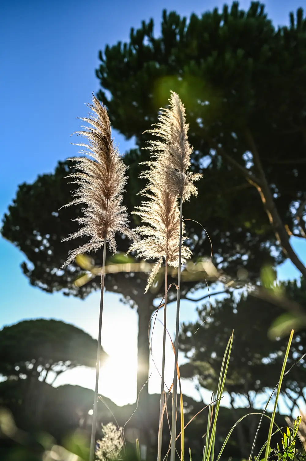 Hotel Photography — Onyria Quinta da Marinha, Cascais (17)
