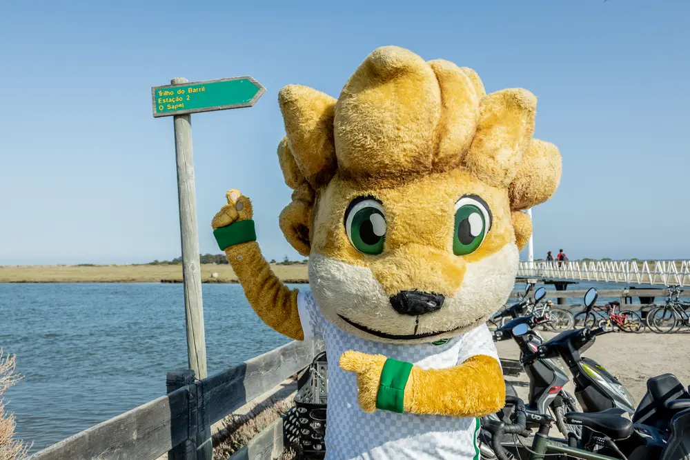 Ativação & Cultura de Marca — Sporting Clube de Portugal, Algarve (12)