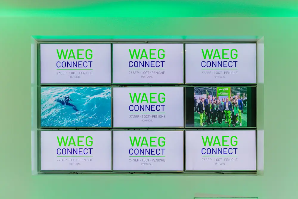 Conferência Interna — WAEG, Cascais · Peniche (4)