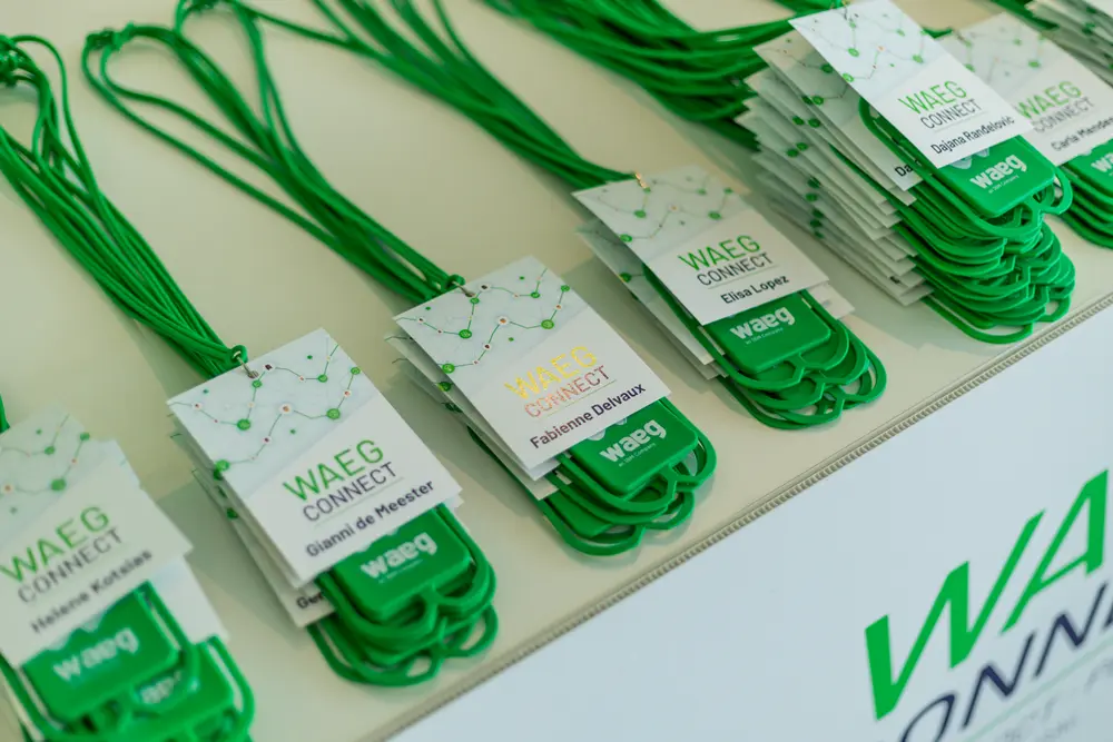 Conferência Interna — WAEG, Cascais · Peniche (35)